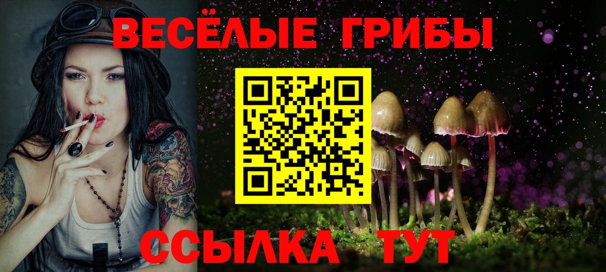 Галлюциногенные грибы MAGIC MUSHROOMS Новороссийск