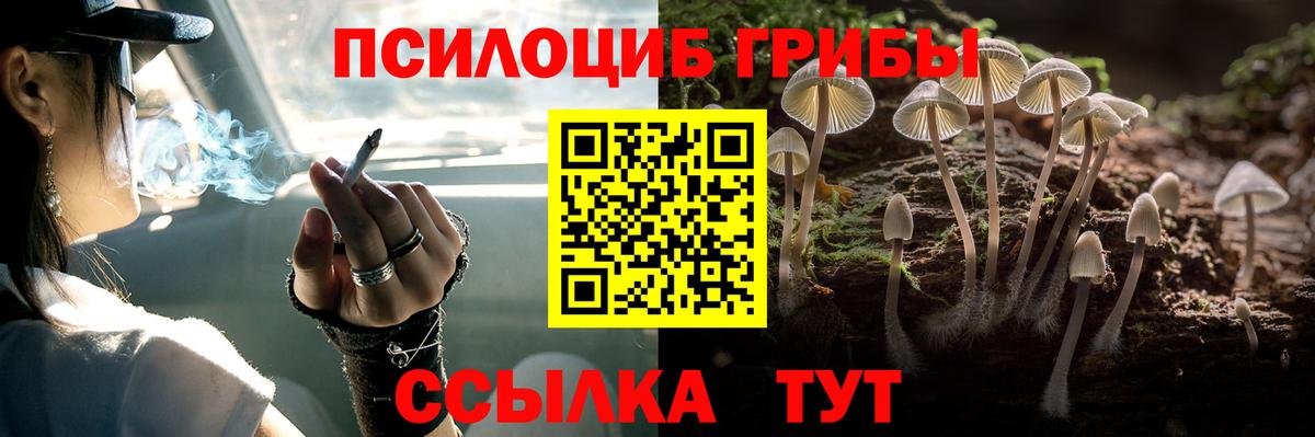 Новороссийск  Псилоцибиновые грибы Magic Shrooms  как найти   Вход с VPN 